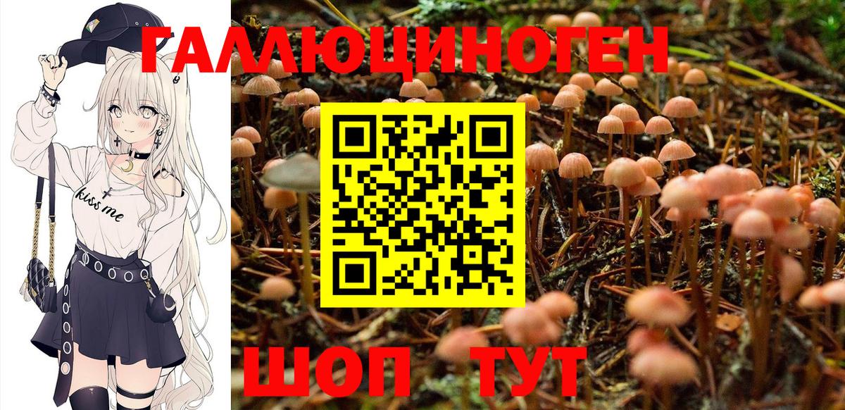 Галлюциногенные грибы Cubensis  Вход с VPN  Псилоцибиновые грибы мицелий  Верхняя Пышма 